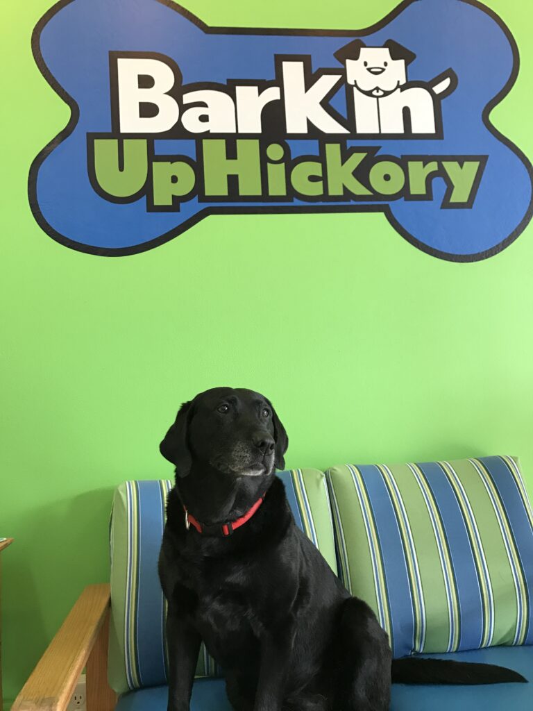 Barkin Up Hickory sign and pup