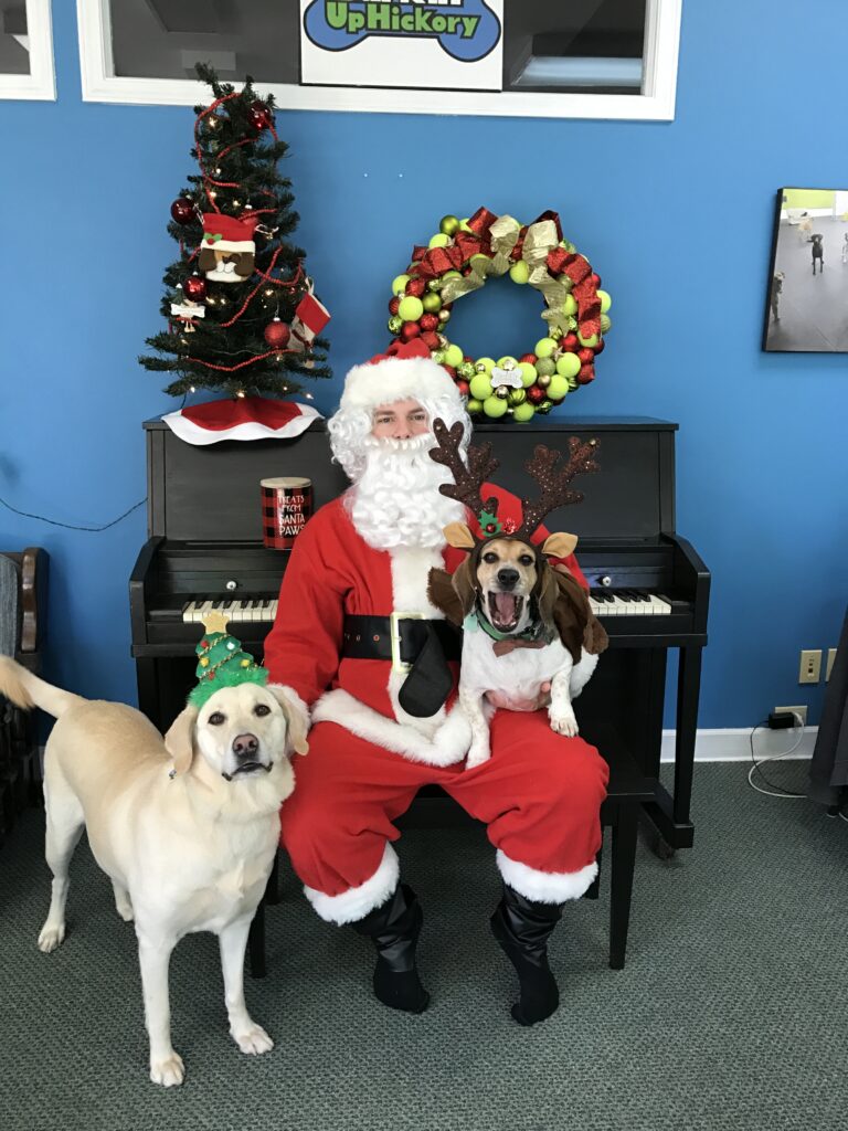 barkin christmas
