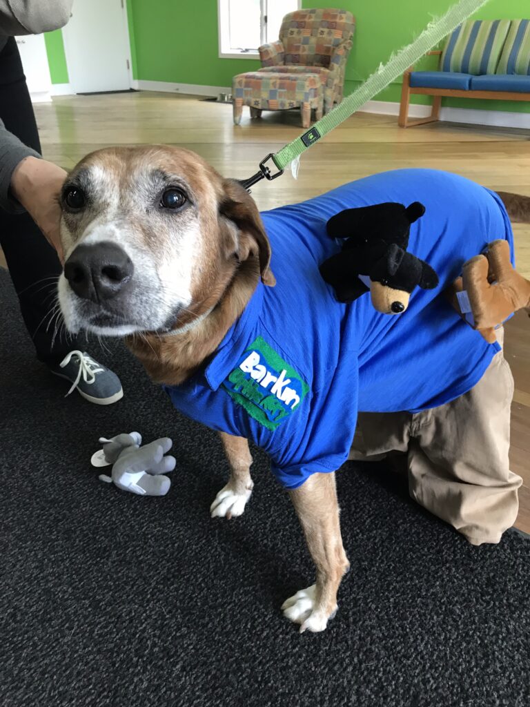 barkin pup