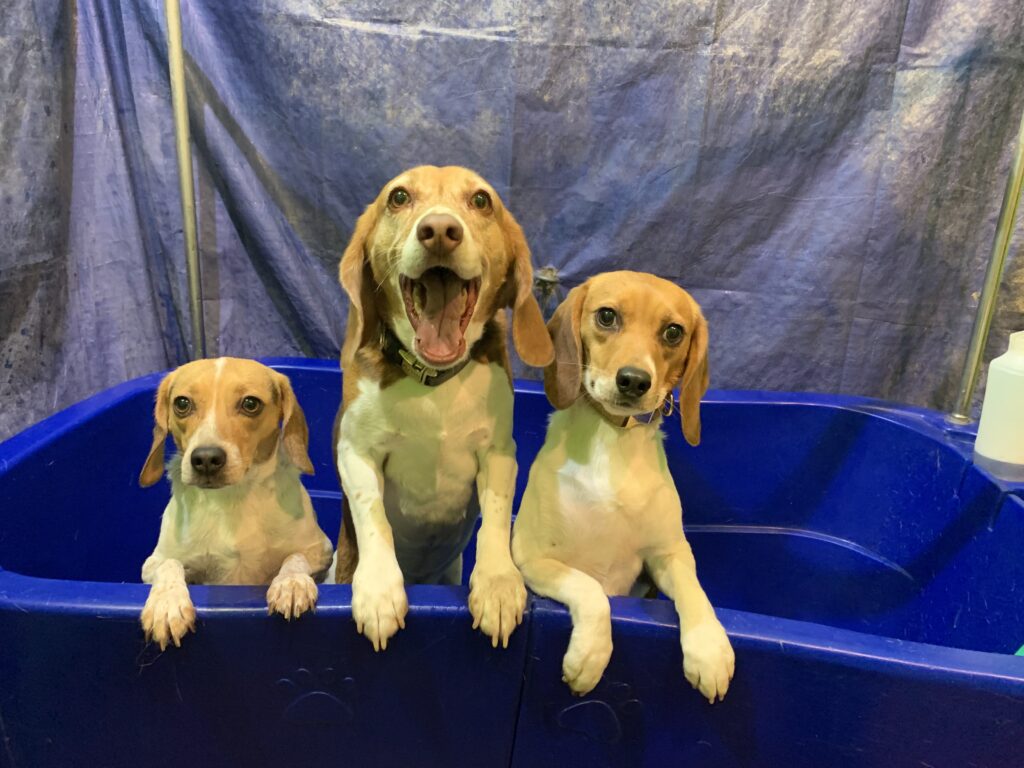 bath time
