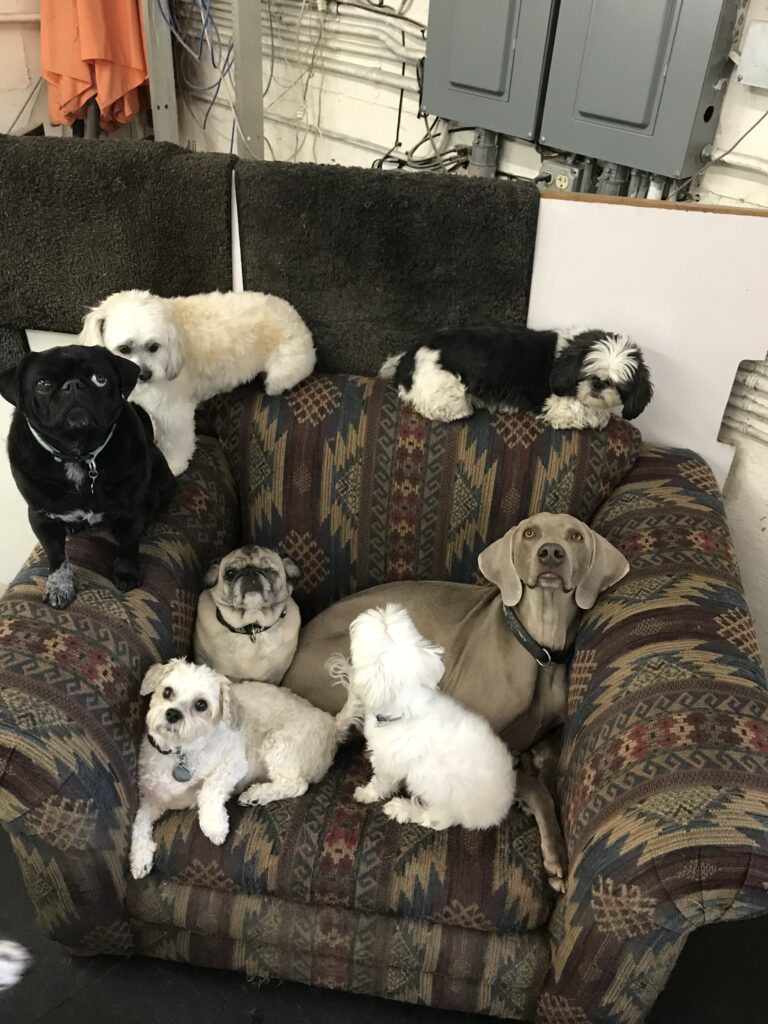 best seat in the house