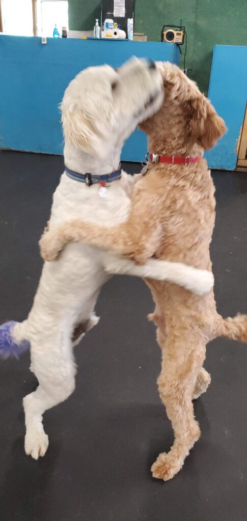 dance time