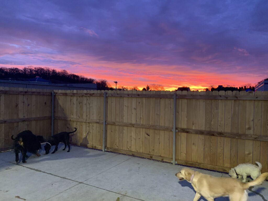evening vibes