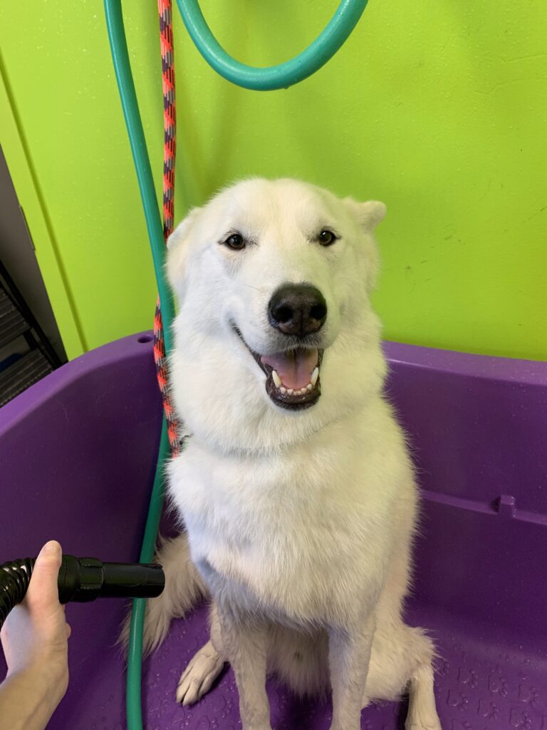 grooming