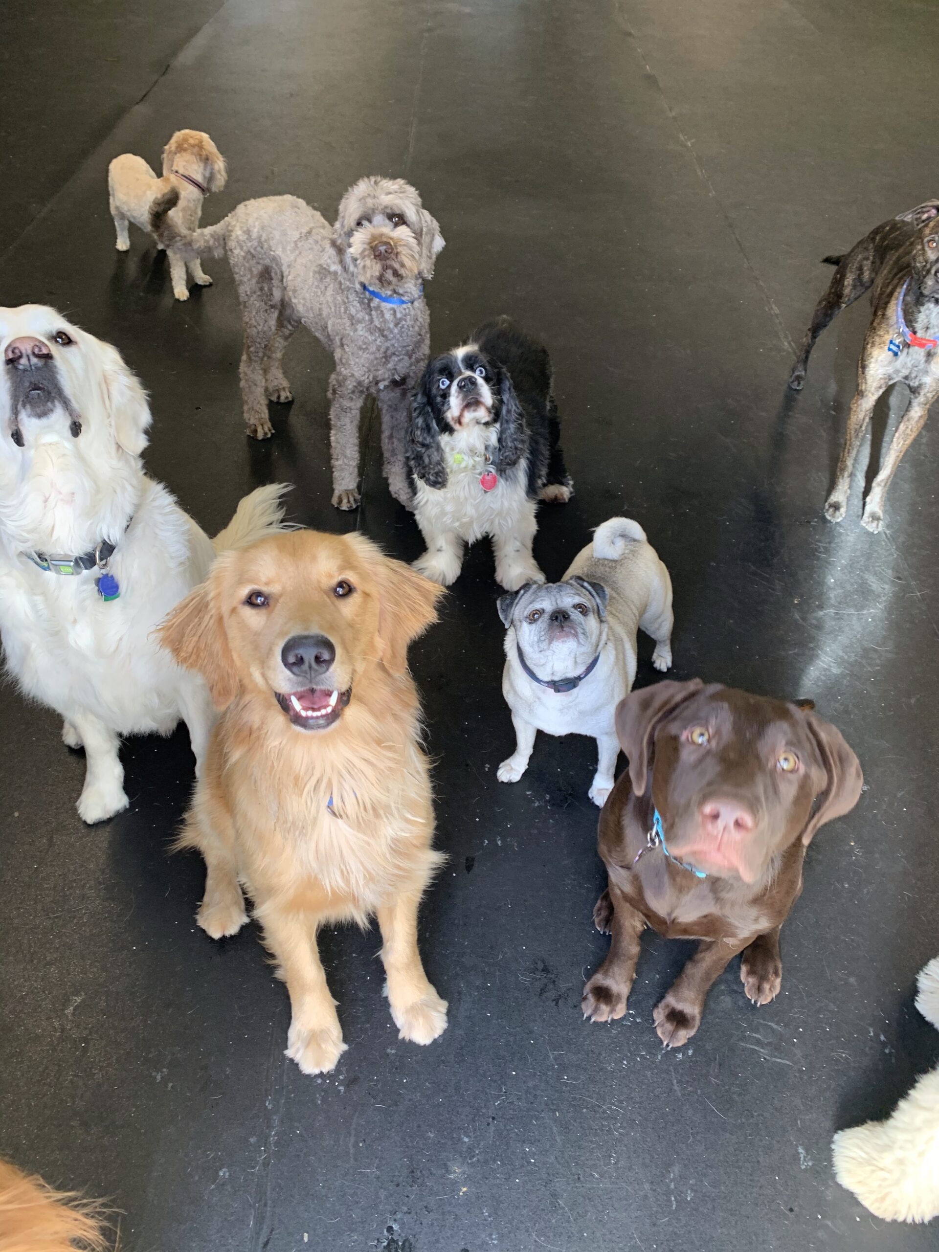 group photo