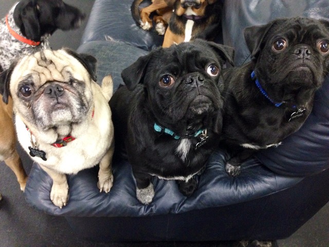 group pic