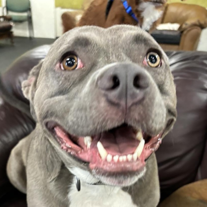 happy-smiles-cropped