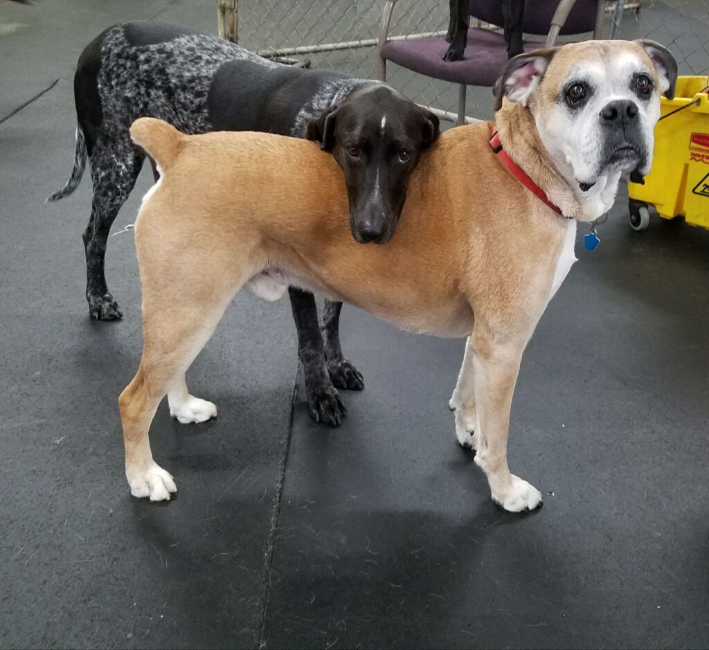 i got your back