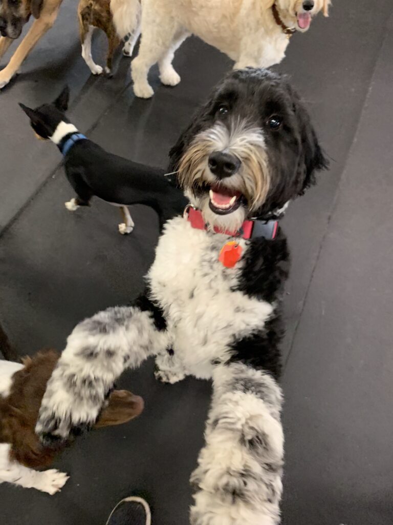 is that a treat