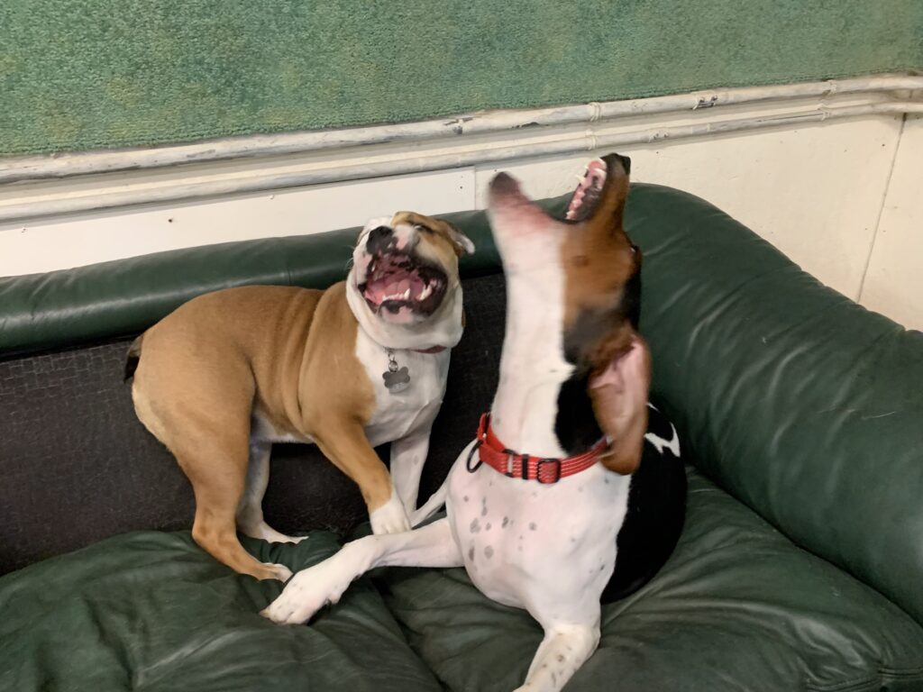 its my spot