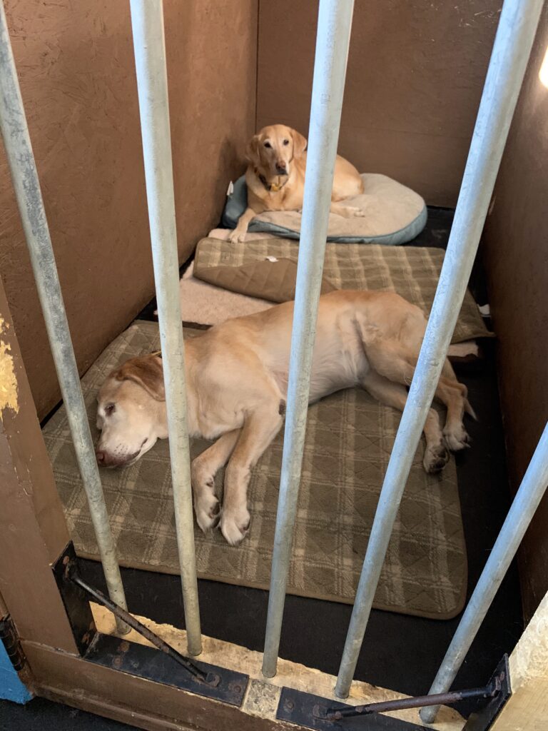 jail theme boarding