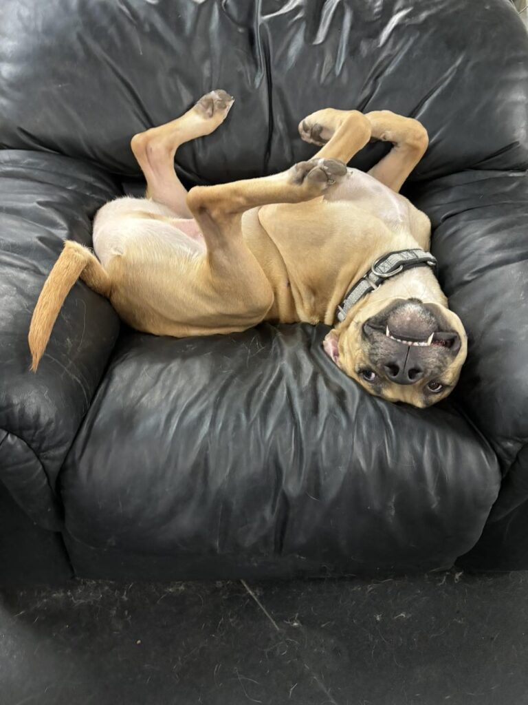 laying how i want