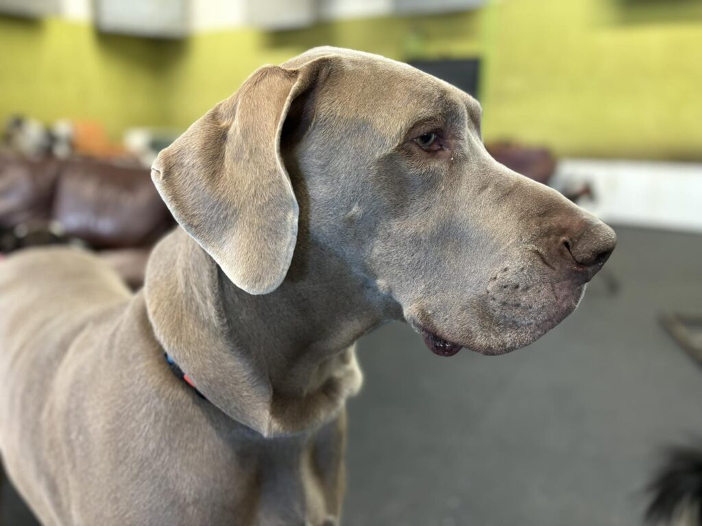 looking serious