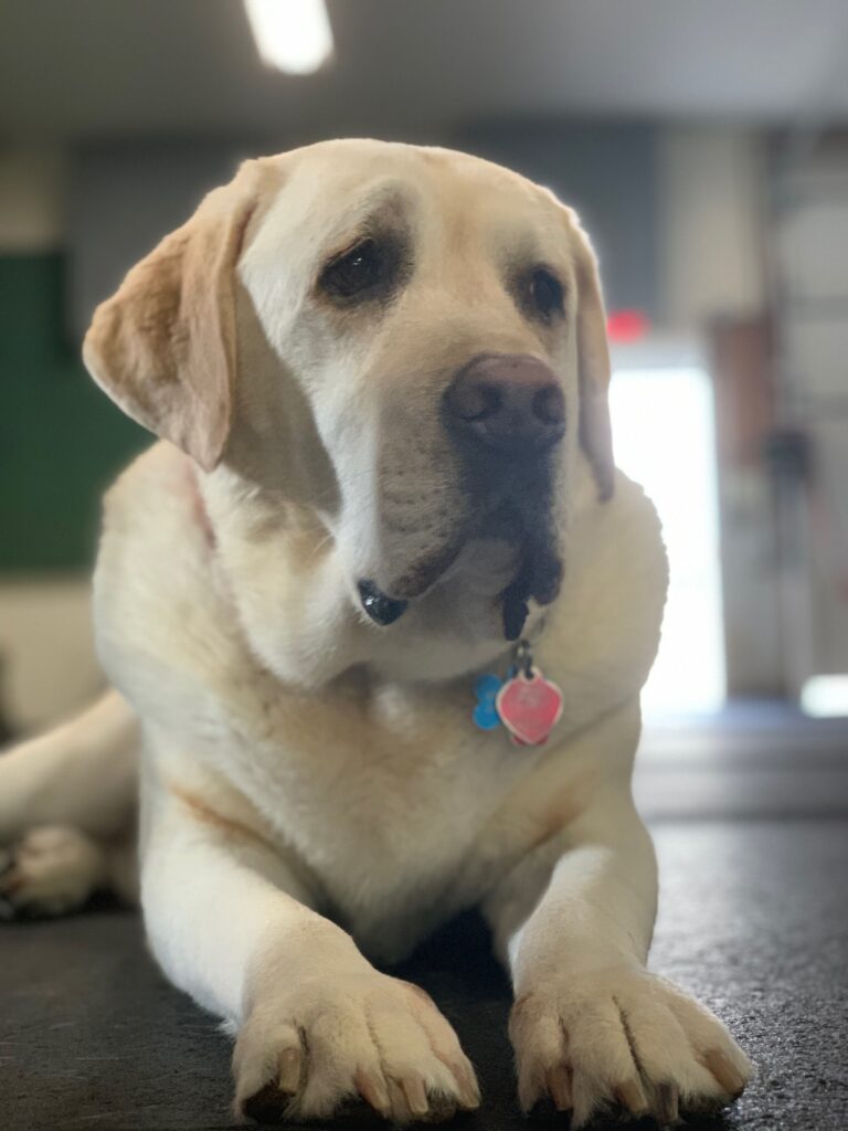 penny for your thoughts