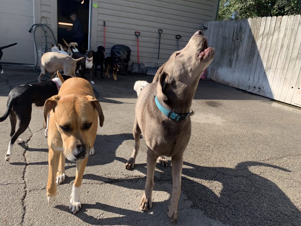play time