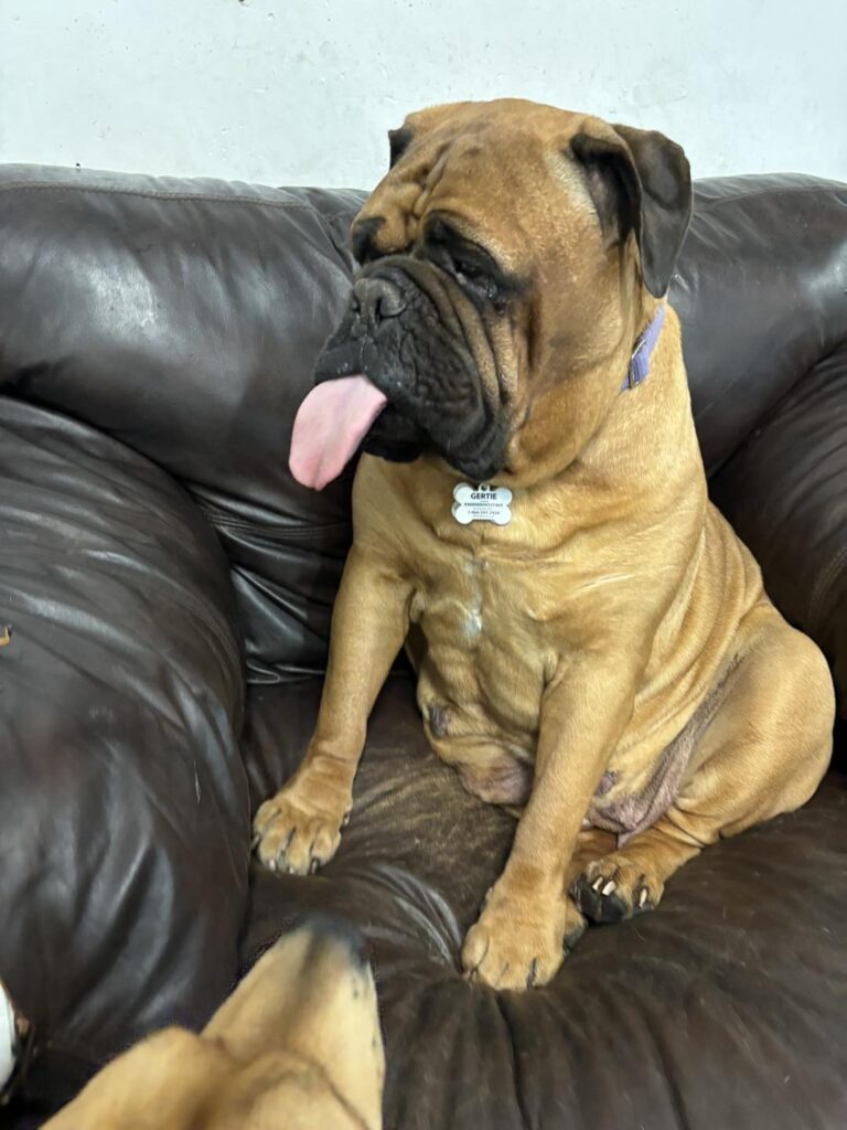 tasting the air