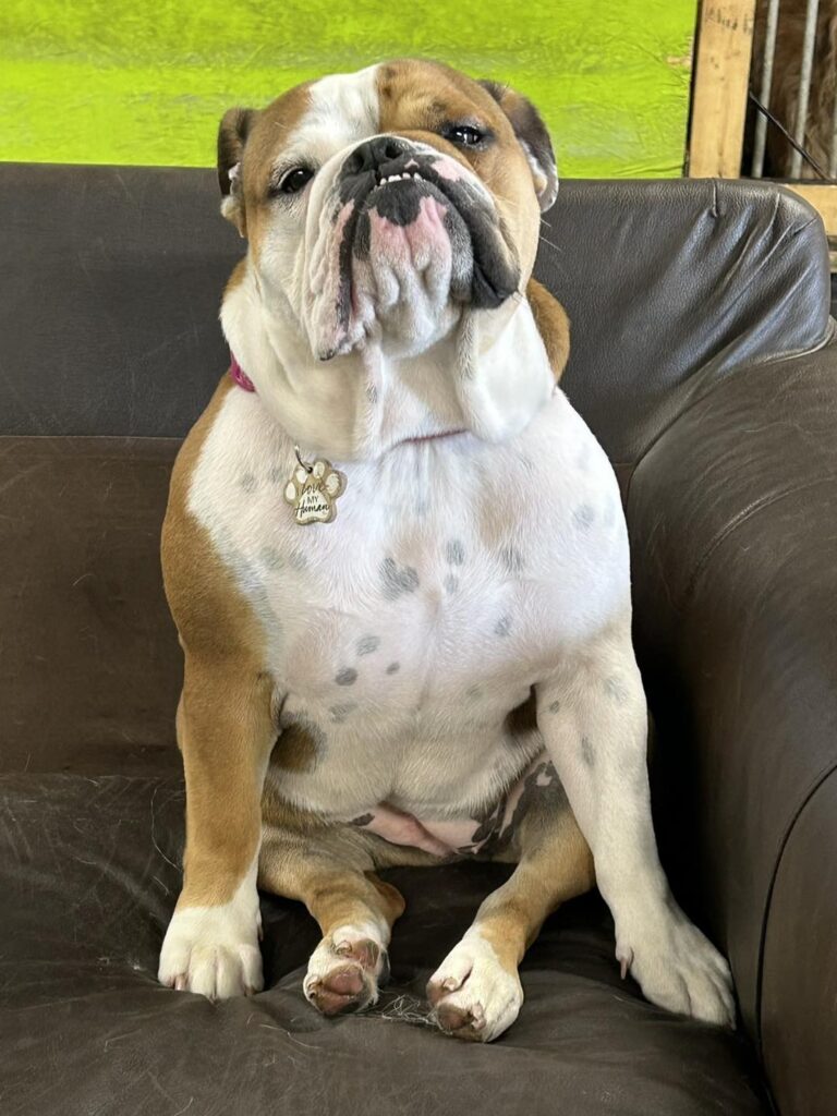 you talkin to me